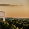 Bodega Menade-Mejores bodegas para visitar-Rueda