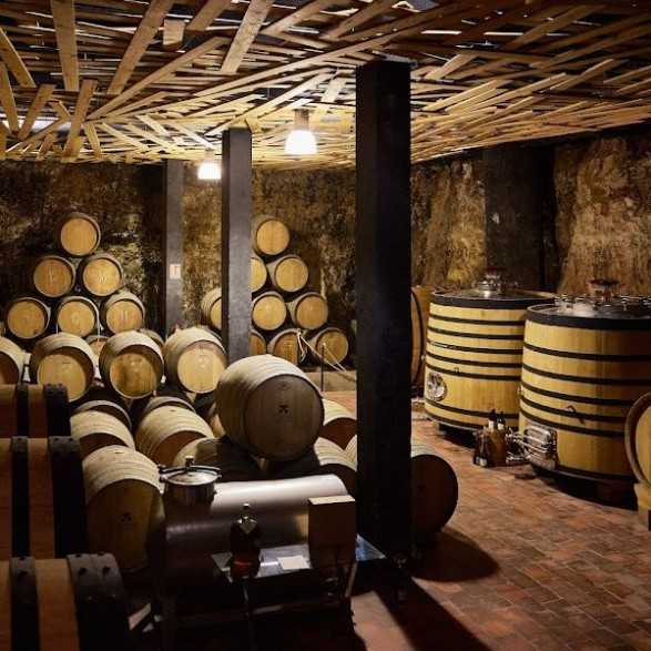 Bodega Menade-Mejores bodegas para visitar-Rueda