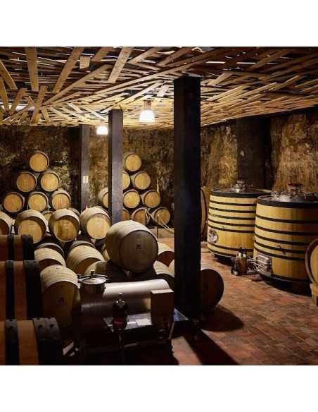 Bodega Menade-Mejores bodegas para visitar-Rueda