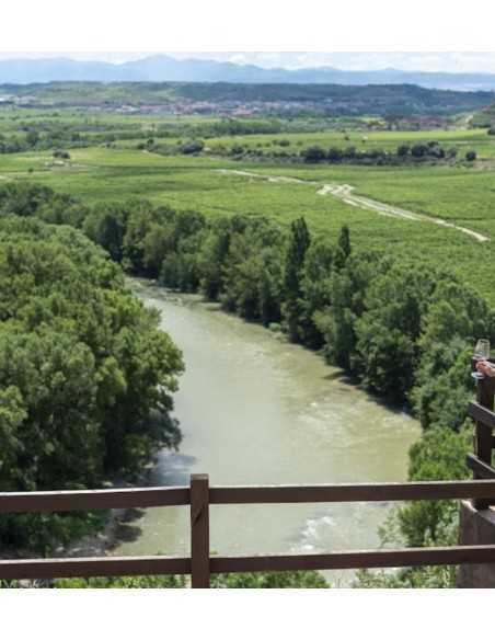 Bodegas Valdelana-Elciego-La Rioja