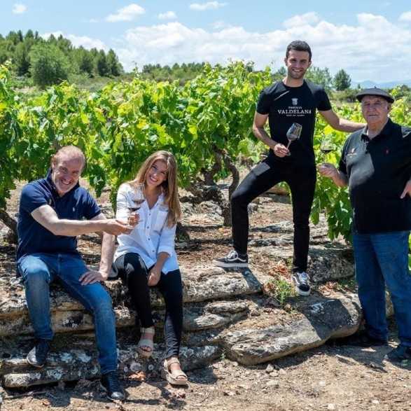 Bodegas Valdelana-Elciego-La Rioja