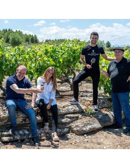Bodegas Valdelana-Elciego-La Rioja