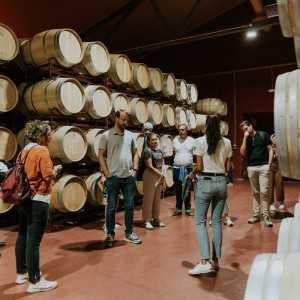 Finca Villacreces-Visitas y Enoturismo-Bodegas Ribera del Duero 2