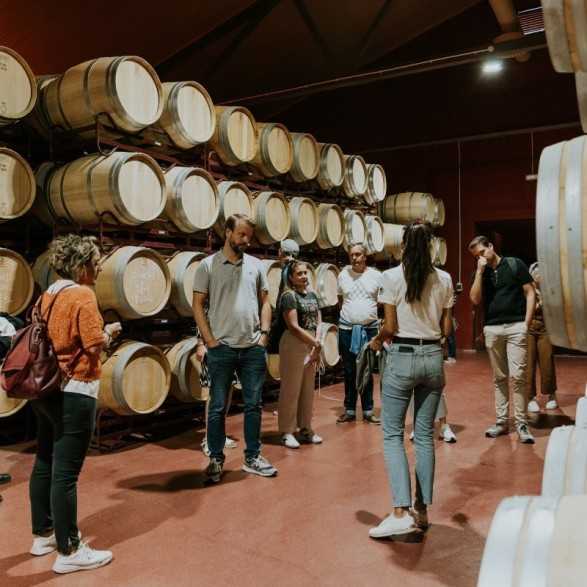 Finca Villacreces-Visitas y Enoturismo-Bodegas Ribera del Duero