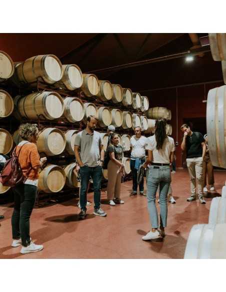 Finca Villacreces-Visitas y Enoturismo-Bodegas Ribera del Duero
