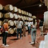 Finca Villacreces-Visitas y Enoturismo-Bodegas Ribera del Duero