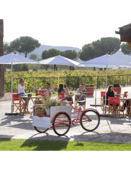 Finca Villacreces-Visitas y Enoturismo-Bodegas Ribera del Duero