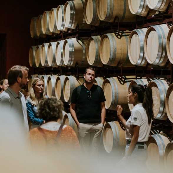 Finca Villacreces-Visitas y Enoturismo-Bodegas Ribera del Duero