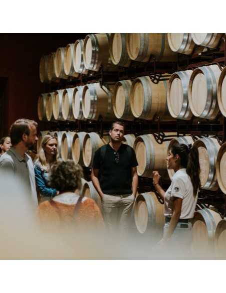 Finca Villacreces-Visitas y Enoturismo-Bodegas Ribera del Duero