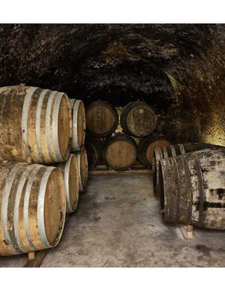 Bodega Menade-Mejores bodegas para visitar-Rueda