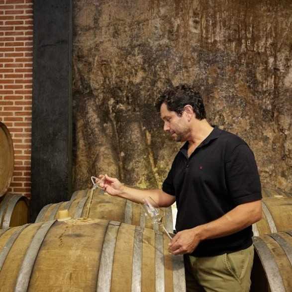 Bodega Menade-Mejores bodegas para visitar-Rueda