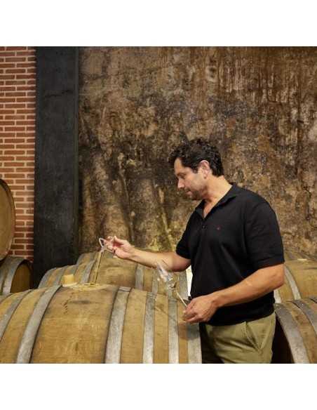 Bodega Menade-Mejores bodegas para visitar-Rueda