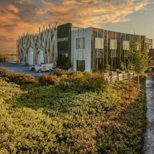 Bodega Menade-Mejores bodegas para visitar-Rueda