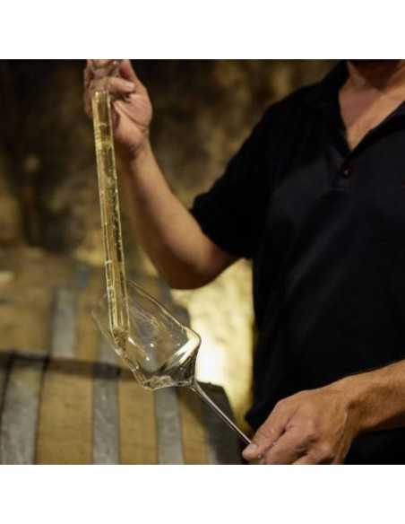 Bodega Menade-Mejores bodegas para visitar-Rueda