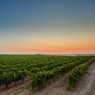 Bodega Menade-Mejores bodegas para visitar-Rueda