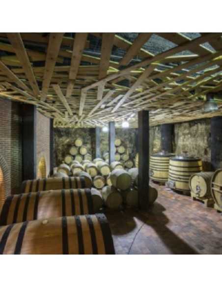Bodega Menade-Mejores bodegas para visitar-Rueda