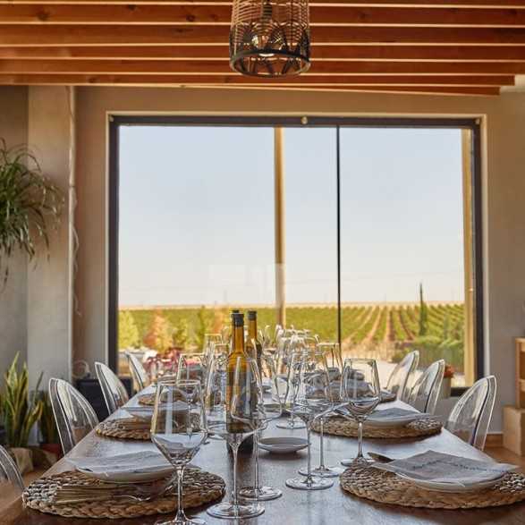 Bodega Menade-Mejores bodegas para visitar-Rueda