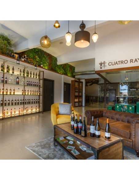 Bodega Cuatro Rayas-Bodegas Valladolid para visitar