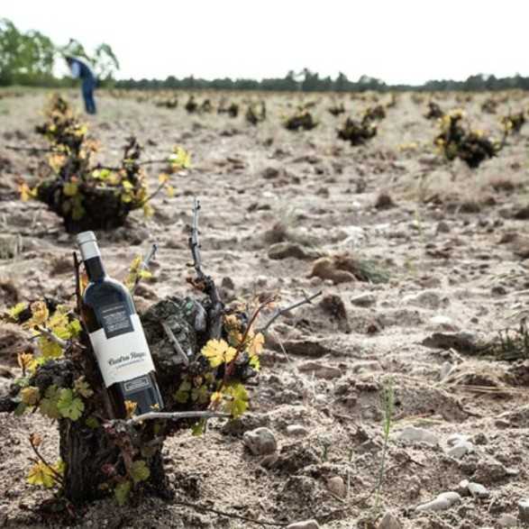 Bodega Cuatro Rayas-Bodegas Valladolid para visitar