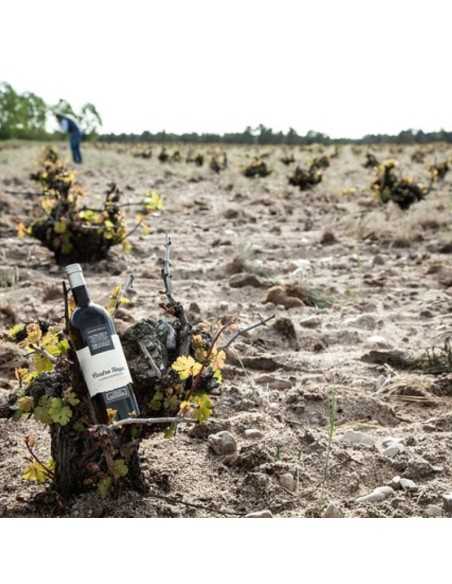 Bodega Cuatro Rayas-Bodegas Valladolid para visitar