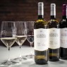 Bodega Cuatro Rayas-Bodegas Valladolid para visitar