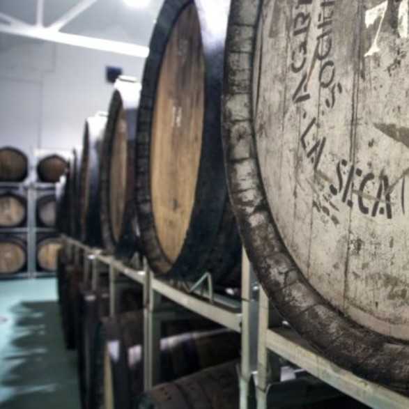 Bodega Cuatro Rayas-Bodegas Valladolid para visitar