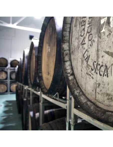 Bodega Cuatro Rayas-Bodegas Valladolid para visitar