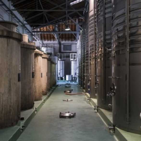 Bodega Cuatro Rayas-Bodegas Valladolid para visitar