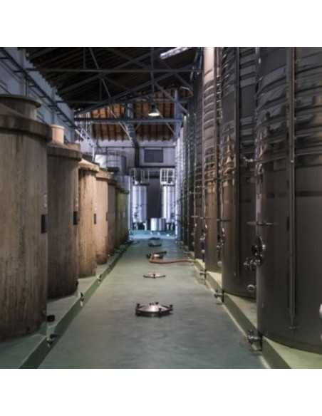 Bodega Cuatro Rayas-Bodegas Valladolid para visitar