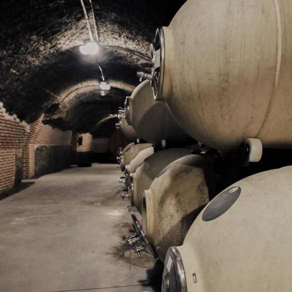 Campo Eliseo - Bodegas Rueda - Visita bodegas en Valladolid