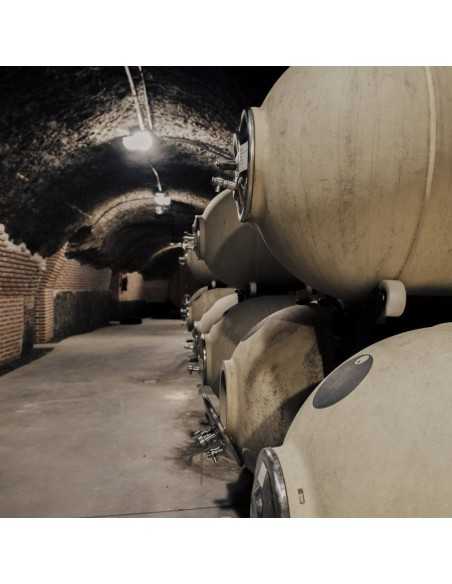 Campo Eliseo - Bodegas Rueda - Visita bodegas en Valladolid