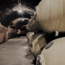Campo Eliseo - Bodegas Rueda - Visita bodegas en Valladolid