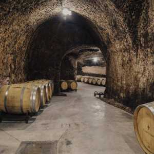 Campo Eliseo - Bodegas Rueda - Visita bodegas en Valladolid 2