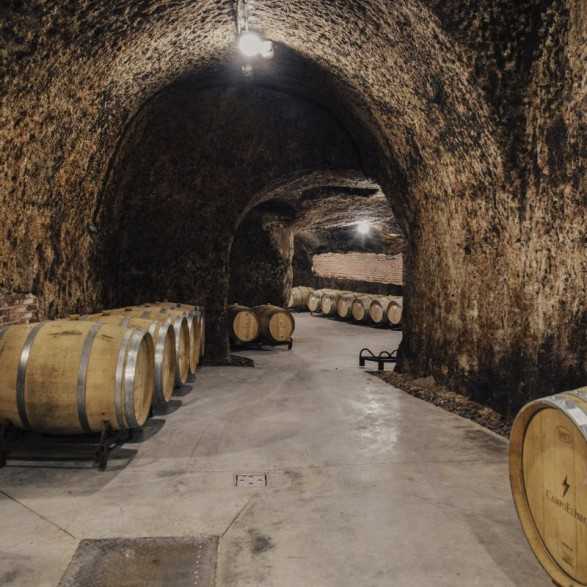 Campo Eliseo - Bodegas Rueda - Visita bodegas en Valladolid