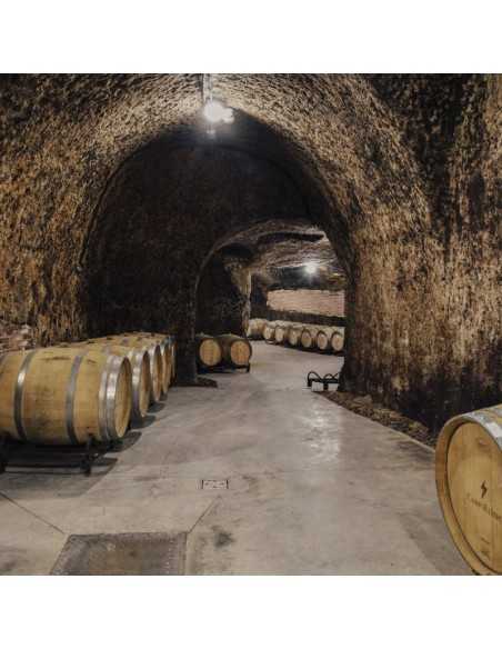 Campo Eliseo - Bodegas Rueda - Visita bodegas en Valladolid
