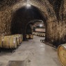 Campo Eliseo - Bodegas Rueda - Visita bodegas en Valladolid