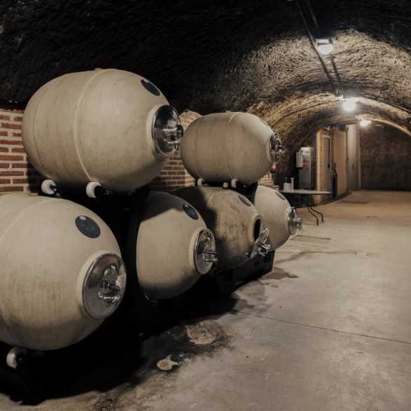 Campo Eliseo - Bodegas Rueda - Visita bodegas en Valladolid