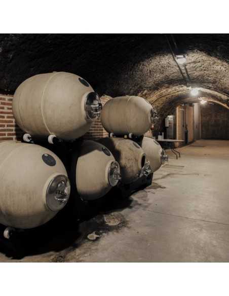 Campo Eliseo - Bodegas Rueda - Visita bodegas en Valladolid