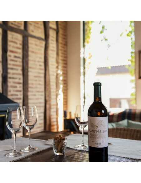 Campo Eliseo - Bodegas Rueda - Visita bodegas en Valladolid