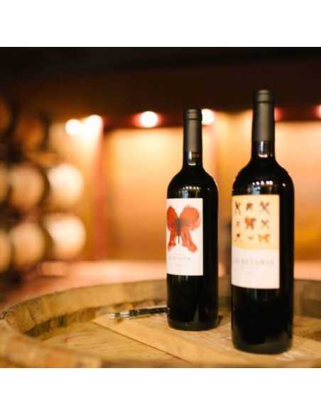 El Regajal bodega - Bodegas Madrid para visitar - Aranjuez