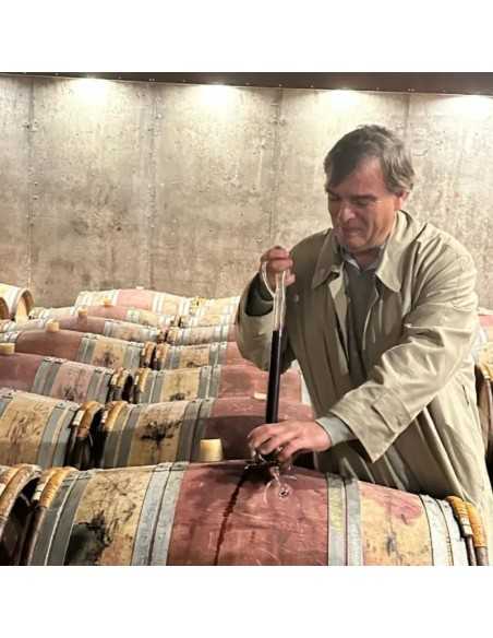 El Regajal bodega - Bodegas Madrid para visitar - Aranjuez