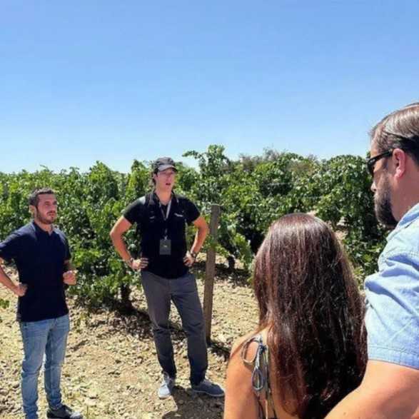 El Regajal bodega - Bodegas Madrid para visitar - Aranjuez