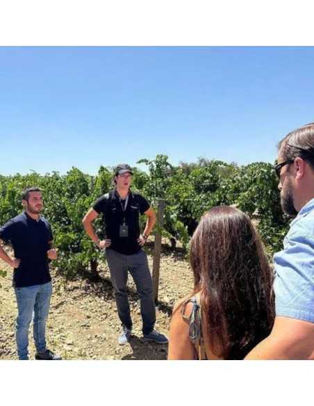 El Regajal bodega - Bodegas Madrid para visitar - Aranjuez