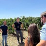 El Regajal bodega - Bodegas Madrid para visitar - Aranjuez