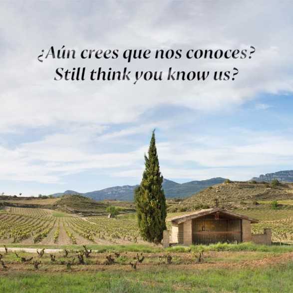 Bodegas Izadi - Visita bodegas en La Rioja- Desde 25€