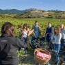Bodegas Izadi - Visita bodegas en La Rioja- Desde 25€