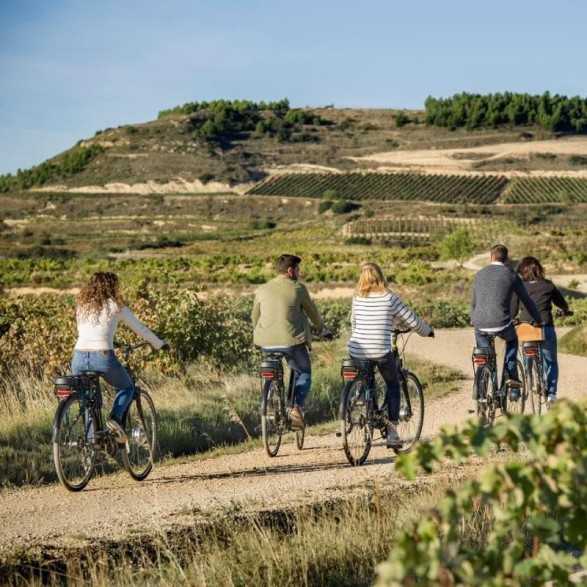 Bodegas Izadi - Visita bodegas en La Rioja- Desde 25€