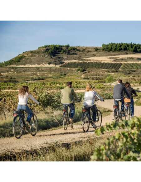 Bodegas Izadi - Visita bodegas en La Rioja- Desde 25€