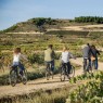 Bodegas Izadi - Visita bodegas en La Rioja- Desde 25€