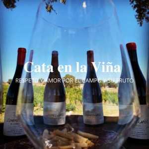 Bodegas Jiménez Landi - Visita Bodegas Méntrida - 30€